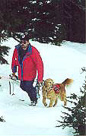 Old Willamette Pass photos
