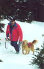 Old Willamette Pass photos