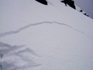 Kevin's Patrol 4 photos
